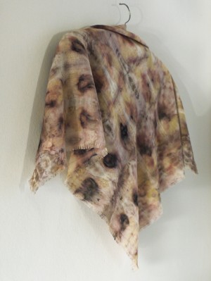 Claire Cawte Claire Cawte